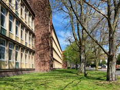 Friedensschule.jpg