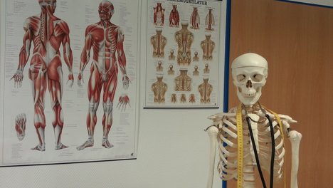 skeleton-g43afa9274_1920.jpg