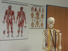skeleton-g43afa9274_1920.jpg