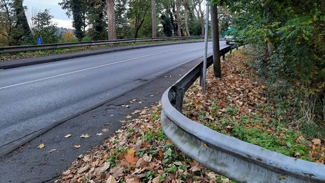 verkehrsspiegel_Pelkum1c.jpg