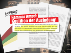 Koalitionderausladung.png